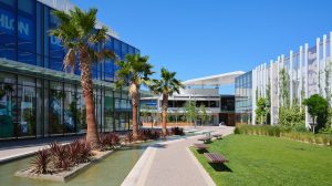 And another caption of the outside with the road which leads to the mall and the palm trees